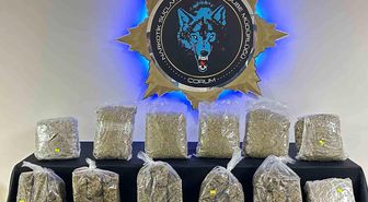 Çorum'da 9 kilo skunk ele geçirildi: 1 tutuklama