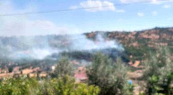 Dicle'de örtü yangını