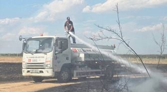 Edirne'de çıkan orman yangını söndürüldü