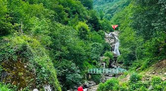 Giresun'da kaybolan 96 yaşındaki kişiyi arama çalışmaları sürüyor
