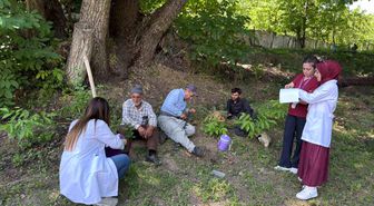 Hakkari'de kanser taraması
