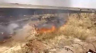 Mardin'de çıkan anız yangınına müdahale ediliyor
