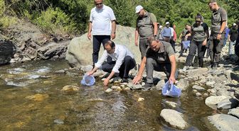 Sel felaketinin yaşandığı Bozkurt'taki İlişi Çayı'na 15 bin alabalık salındı