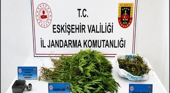 Sivrihisar'da uyuştucu operasyonu, 1 zanlı tutuklandı