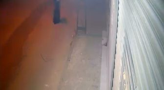 Adana'da kimliğini gizlemek için kara çarşaf giyip, iş yerine kurşun yağdırdı