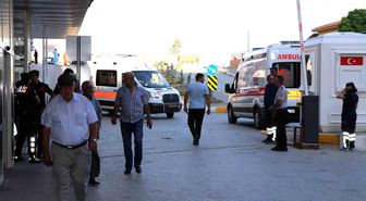 Arı sokmasına bağlı ciddi alerjik reaksiyonlar ölüme sebep olabilir