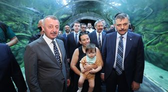 Bakan Çiftçi: Sahipsiz sokak hayvanlarının yüzde 92,35'i barınaklarda muhafaza ediliyor