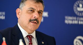 Bakan Çiftçi: Sokak hayvanlarının yüzde 92,35'i barınaklarda