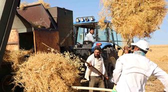 Diyarbakır'da yüksek sıcaklıkta hasat