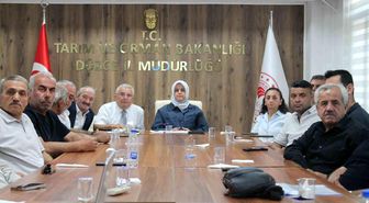 Düzce'de fındık rekolte tahmin çalışmaları değerlendirildi