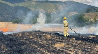 Kastamonu'da çıkan anız yangını söndürüldü