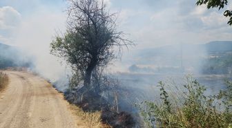 Sinop'ta çıkan anız yangını söndürüldü