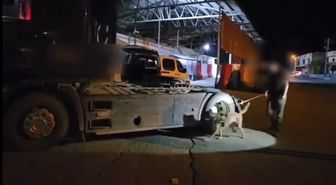 Şırnak'ta zehir yüklü tır uygulama noktasında yakalandı