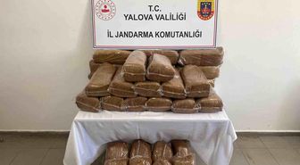 Yalova'da 160 kilo kaçak tütün ele geçirildi