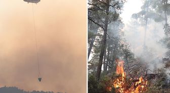 Antalya'da ormanlık alanda çıkan yangına müdahale ediliyor