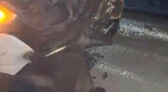 Elazığ'da domuza çarpan cip, hasar aldı