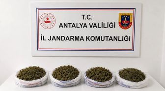 Evde yapılan aramada 1 kilo 979 gram kubar esrar ele geçirildi