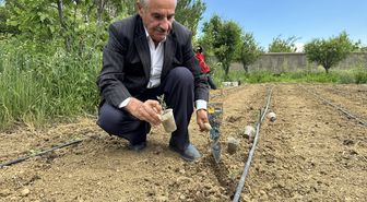 Hakkarili çiftçi ata tohumlarını koruyup verimli ürünler yetiştiriyor
