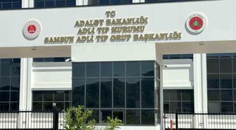 Ihlamur ağacından düşen yaşlı adam hayatını kaybetti