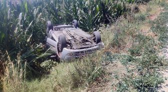 Ödemiş'te tarlaya devrilen otomobilin sürücüsü yaralandı