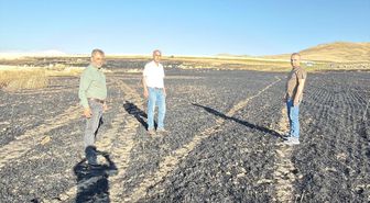 Şarkışla'da çıkan yangında 100 dekarlık tarım arazisi zarar gördü