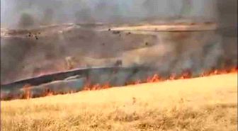 Ankara'da çıkan ot yangını kontrol altına alındı