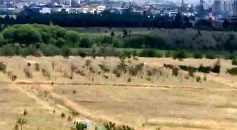 Ankara'daki ot yangını kontrol altına alındı