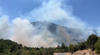 Antalya'da Orman Yangını 18 Saatte Kontrol Altına Alındı