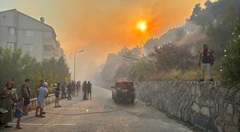 Aydın'da zeytinlik ve makilik alanda çıkan yangına müdahale ediliyor