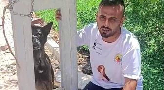 Belçika kurdunu zehirleyip direğe asarak telef ettiler
