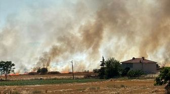 Kırklareli'nde çıkan anız yangınında 50 dekar tarım arazisi zarar gördü