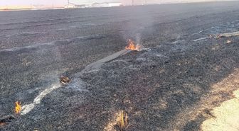 Konya'da tarla yangınına müdahale ediliyor