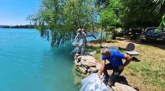 Manavgat'ta 400 bin balık yavrusu baraj gölünde bırakıldı