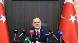 Muğla'da sahipsiz sokak hayvanlarının yüzde 97'si toplandı