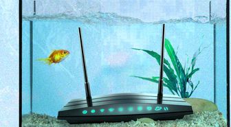 Wi-Fi Bağlantınızı Bozan 5 Sıradışı Şey: Mikrodalgadan Akvaryuma