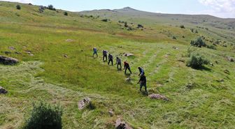 Ağrı ve Kars'ta çiftçiler kışlık ot için çayırlarda tırpan sallıyor