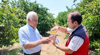 Andırın'da faydalı böcek ile doğal mücadele