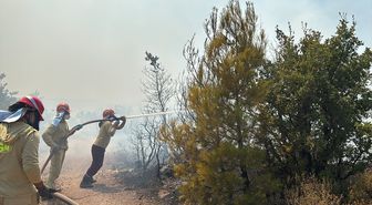 Balıkesir'de çıkan orman yangınına müdahale ediliyor