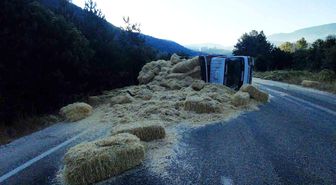 Bolu'da iki kamyon kafa kafaya çarpıştı: Samanlar yola saçıldı, 2 yaralı