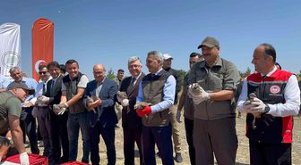 Çamlık Milli Parkı'nda bin keklik doğaya kanat çırptı