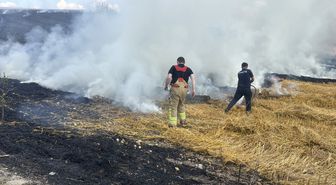 Edirne'de anızlık alandaki yangında 30 dekar tarım arazisi zarar gördü