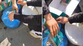Esnaftan pes dedirten oyun! Marketten alıp 'köy nohudu' diye satmışlar