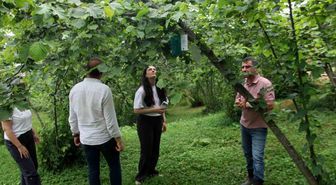 Karadeniz Havzası'nda 3 ülkeden tarımsal iş birliği