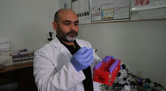 Kenelere karşı 'dikkatli olunması ancak panik yapılmaması' uyarısı