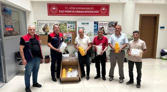 Köşk'te üreticilere yüzde 50 hibeli Akdeniz Meyve Sineği tuzağı desteği