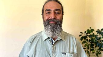 Mersin sahillerinde zehirli çizgili kedi balığı uyarısı