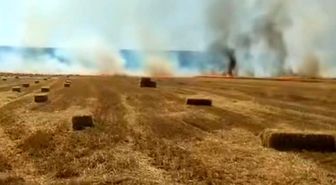 Nallıhan'da tarla yangını