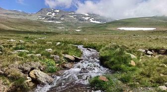 Ordu'nun yaylalarında yaz güzelliği