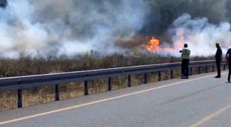 Sultangazi'de otluk alandan ormana sıçrayan yangın söndürüldü