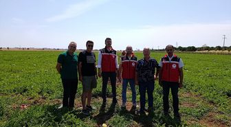 Tekirdağ Tarım ve Orman Müdürü Aksoy, karpuz üretim alanlarını inceledi